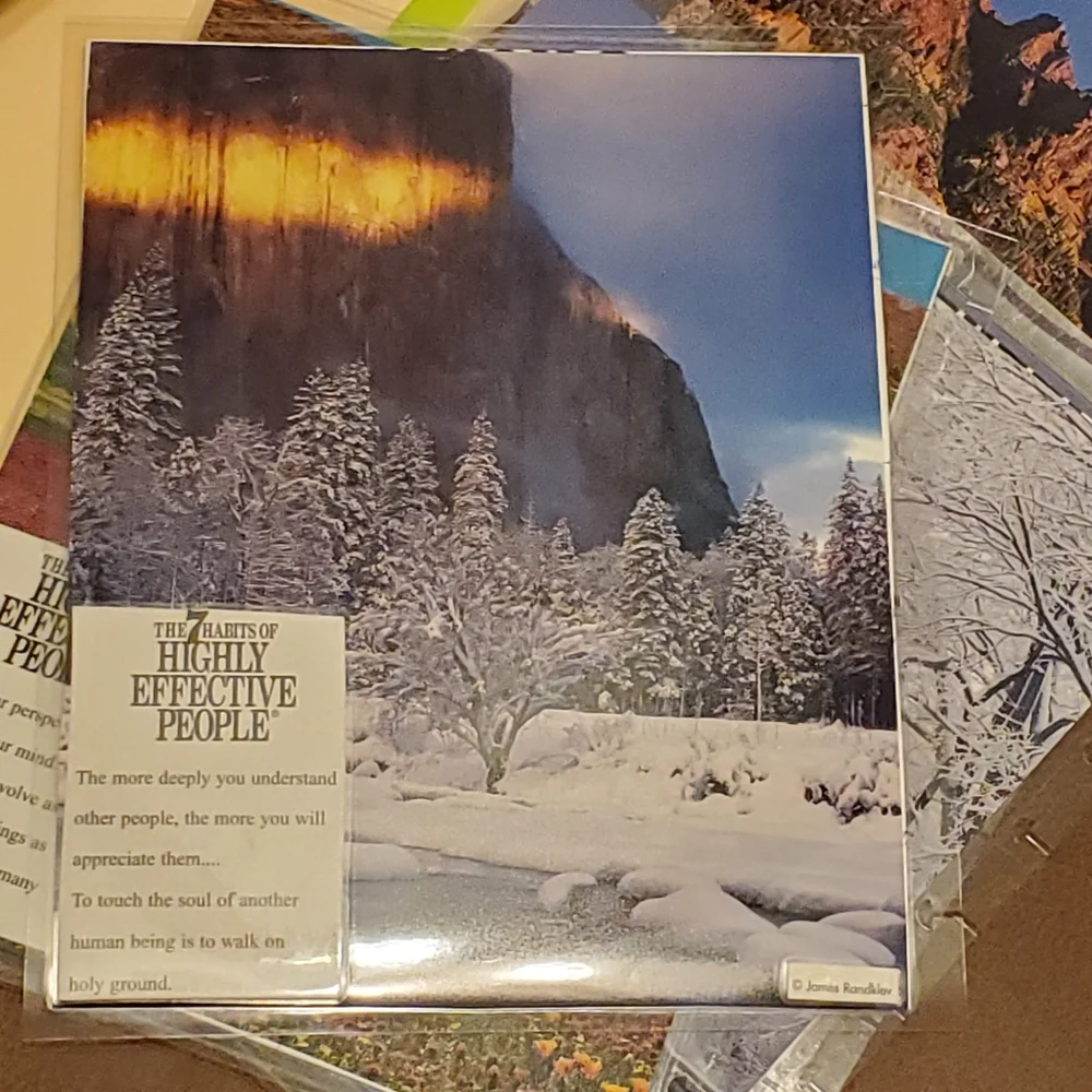 Homemade cover & five dashboards/dividers for a classic size disc bound planner